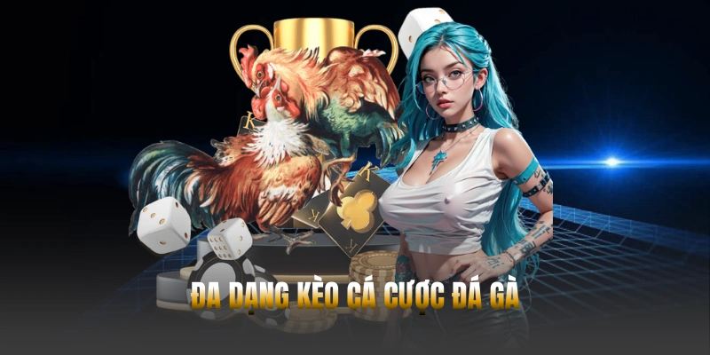 Đá gà Hubet – Trải nghiệm cá cược trực tuyến từ Campuchia - POWIN.MOBI