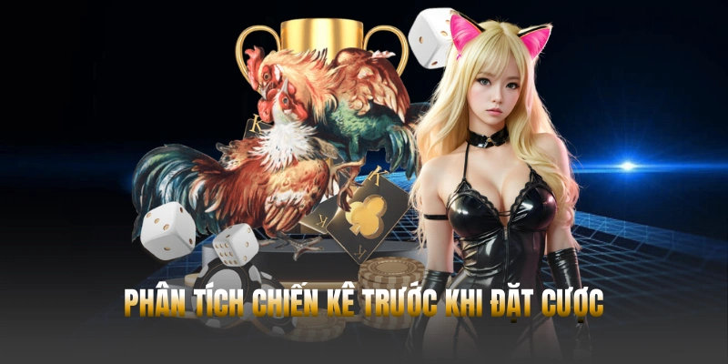 Đá gà Hubet – Trải nghiệm cá cược trực tuyến từ Campuchia - POWIN.MOBI