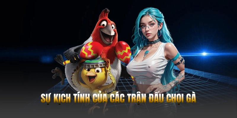 Đá gà Hubet – Trải nghiệm cá cược trực tuyến từ Campuchia - POWIN.MOBI